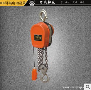 专业电动葫芦_河北电动葫芦厂家供应