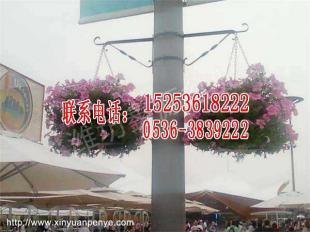室外花架大量批发