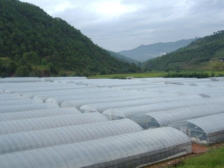 夹胶玻璃供货厂家|新品夹胶玻璃市场价格
