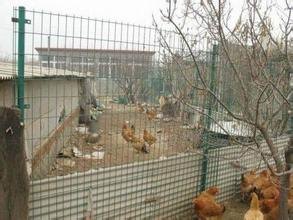 教师节感恩回馈#长春优质养殖场地围网厂家&价格—