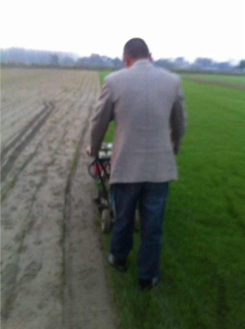 安徽天富道草坪，安徽天富道草坪剪修【绿景】
