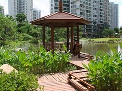 【一流产品一流服务】鹏兴园林高档别墅绿化厂家是您