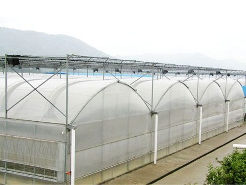 供应连栋圆拱温室建造/温室建造厂家