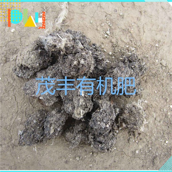 供应石家庄一流的干鸡粪，山东干鸡粪块