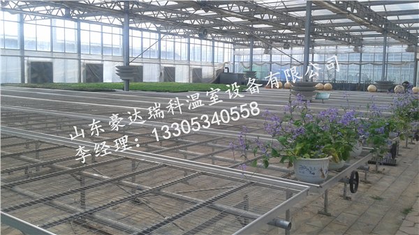 山东温室公司