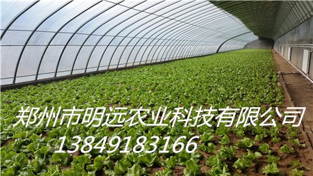 晋城日光温室建设专业承揽商家 无支柱大棚安装团队