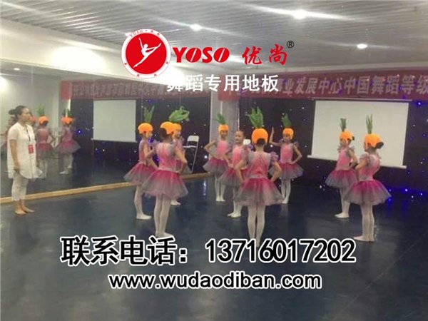专业舞蹈房地板  舞蹈房专用pvc地板  pvc舞蹈形体房地胶 