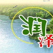 绣球八仙花价格合理 绣球八仙花质量优