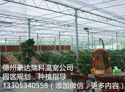 温室大棚价格