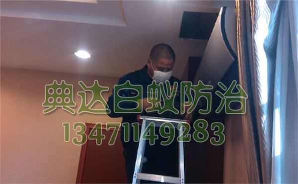 南宁优质的广西灭白蚁——权威的白蚁防治哪里有