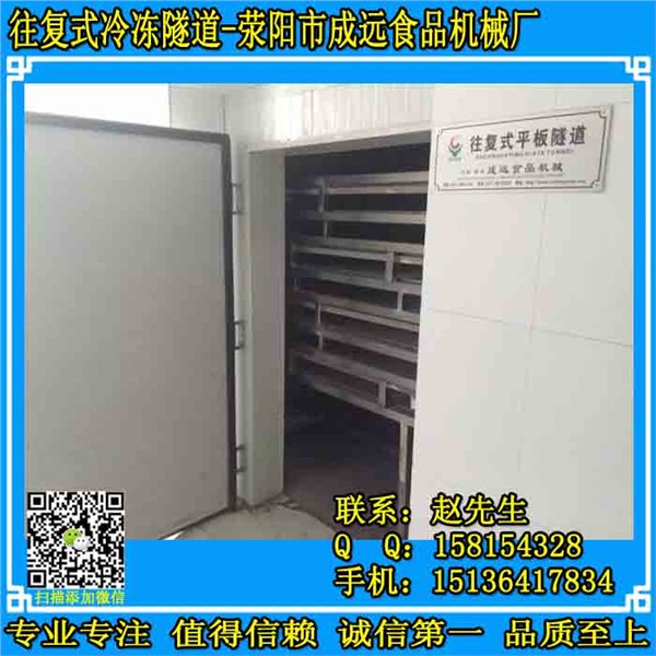 河北速冻饺子生产线，平板输送冷冻隧道，往复式冷冻输送带