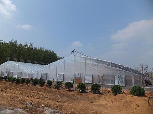 日光温室建设