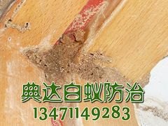 新式的白蚁防治资讯_南宁灭白蚁