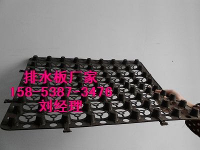 供应四平屋顶绿化排水板_3公分排水板价格