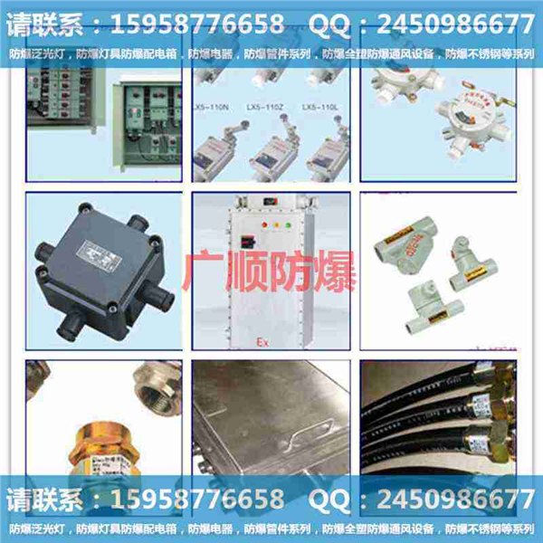 BDL系列防爆电铃ⅡC|防爆无极灯怎么样|外贸