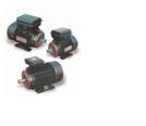 双值电容单相异步电动机，威达微特电机提供销量好的