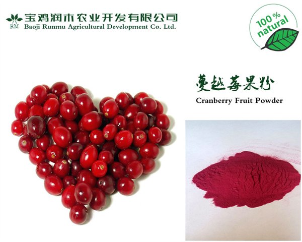 供应专业生产供应 蔓越莓粉