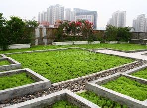 盐城屋顶绿化|盐城屋顶绿化施工哪家好【誉盛】质量