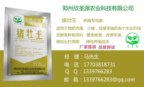 澳门发酵鸡粪做饲料_来欣圣源，买口碑好的鸡粪喂猪