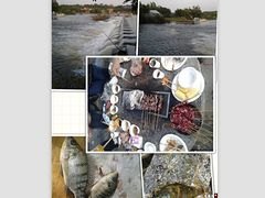 崇左品牌好的那马竹泉岛烧烤场地服务报价——专业的