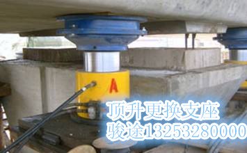 供应贵州桥梁橡胶支座更换