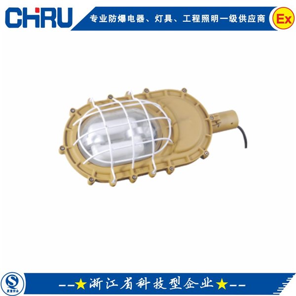 CRBFE8150免维护节能防爆灯