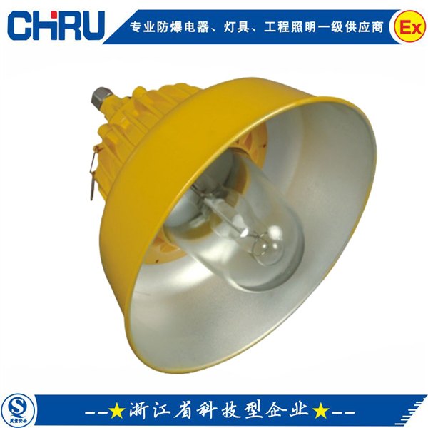 CRBPC8700防爆平台灯