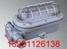 DGC35/127N(B)矿用隔爆型支架灯