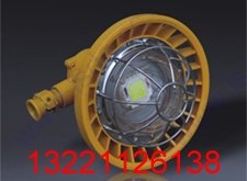 DGS36/127L矿用隔爆型LED巷道灯