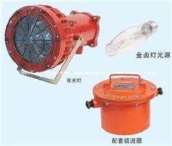 DGC-175/127矿用隔爆型投光灯