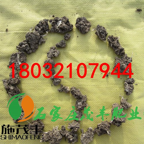 安徽砀山干鸡粪哪家便宜鹌鹑粪小鸡粪茂丰肥业