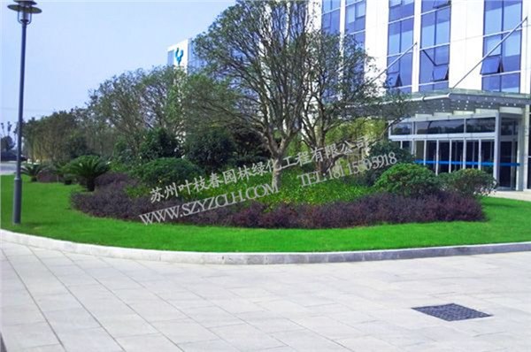 苏州有口碑的绿化工程公司，当属苏州叶枝春园林 苏