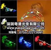 LED彩灯闪灯铜线灯串