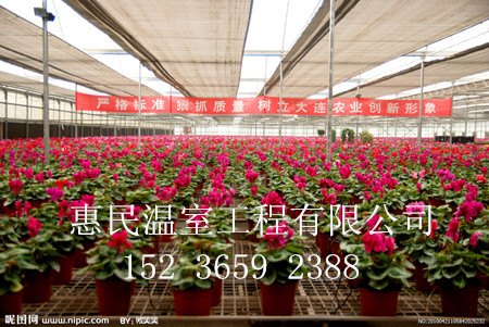 山西专营各种温室大棚 惠民温室