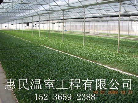 周口育苗大棚育苗床 大棚骨架机 温室大棚