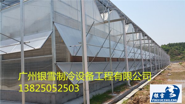 广州品牌好的鲜花冷库供销_附近质量好的鲜花保鲜冷