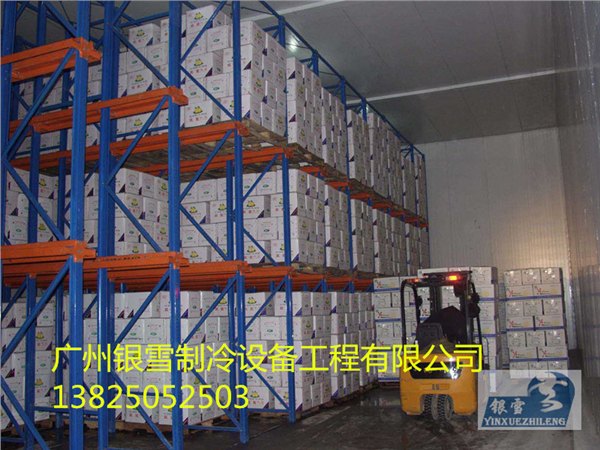 银雪制冷供应口碑好的食品保鲜冷库_湛江食品冷库
