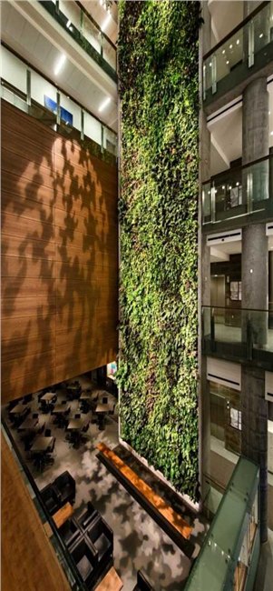 北京植物幕墙公司/室内植物幕墙公司