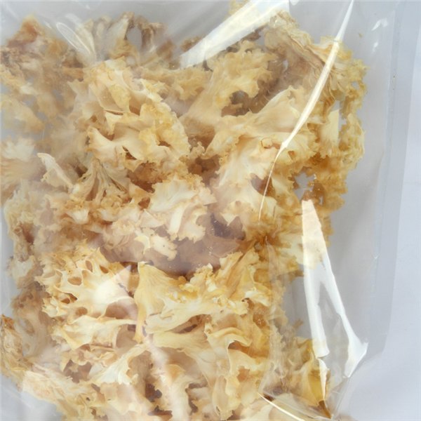 在哪能买到口碑好的绣球菌——具有品牌的万菇之王