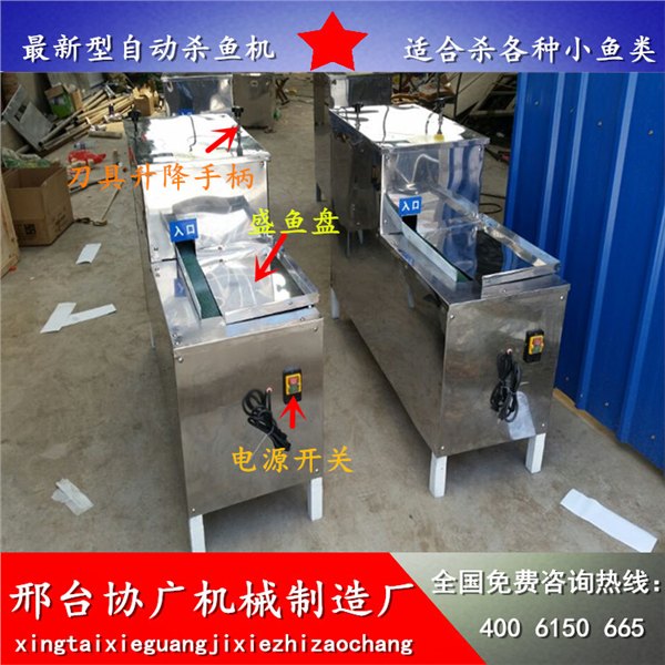 全自动高效杀鱼机 杀小鱼机器杀鱼速度快效率高河北