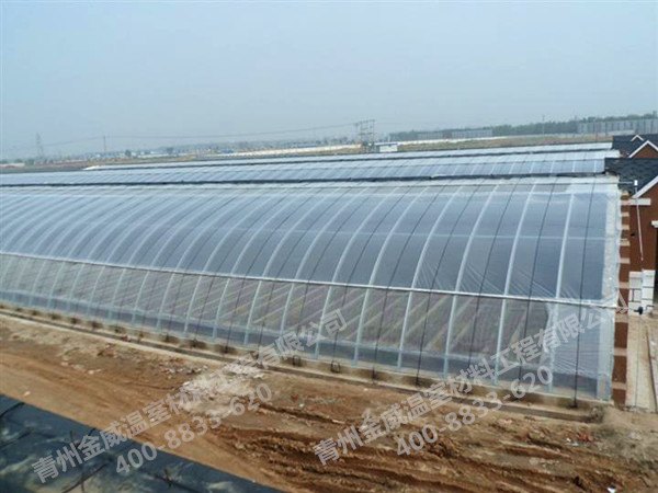 日光温室建造哪里做的专业--金威温室