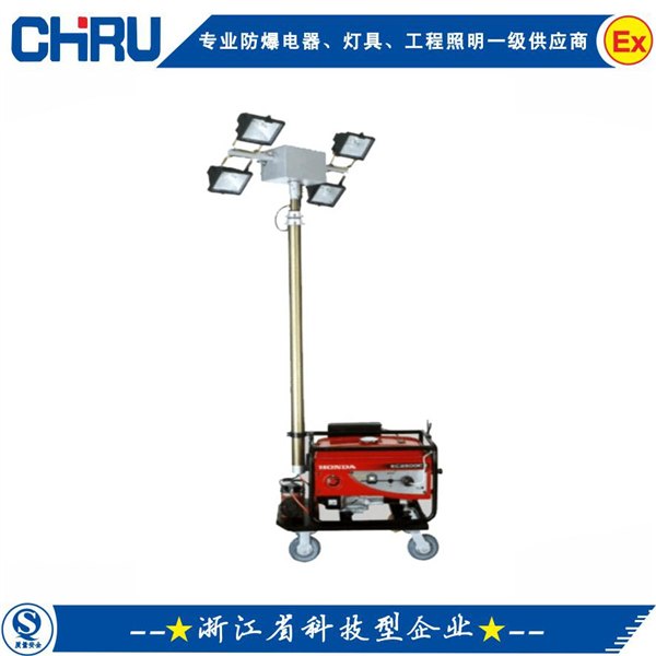 CRSFW6110全方位自动泛光灯