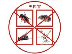 南宁有口碑的四害消杀哪里找：低价南宁老鼠防治