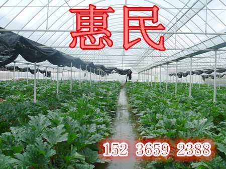 商丘温室大棚建设 荥阳早熟无公害蔬菜大棚筹建