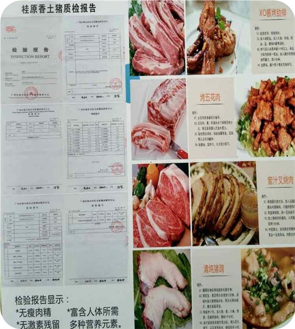 实惠的桂原香土猪当选博德养殖：价格合理的农业