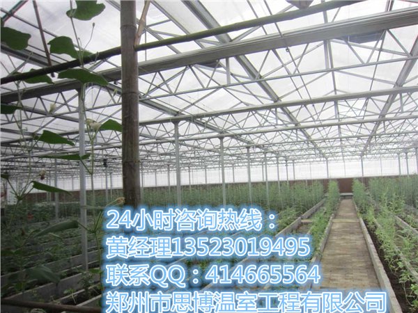 太原温室大棚公司太原食用菌大棚建设价格