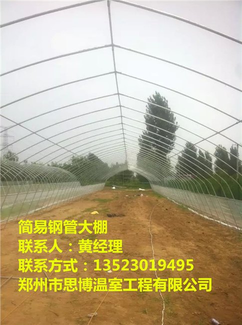 大同食用菌大棚价格大同日光温室大棚建设造价