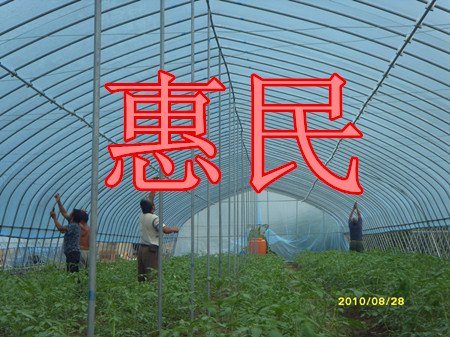 郑州开封大棚樱桃造价 樱桃温室大棚建设