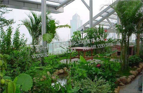 苏州提供品牌好的绿化工程_苏州新区屋顶绿化