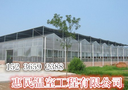 秦皇岛热带水果温室大棚建设基地